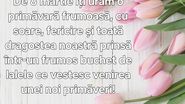 mesaj cu imagine de 8 martie 