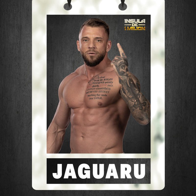 Ionuț Sugacevschi - 