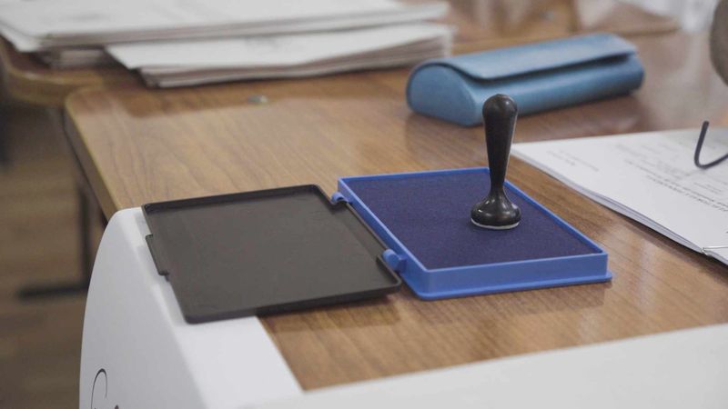 stampila pentru vot, alegeri 2024 