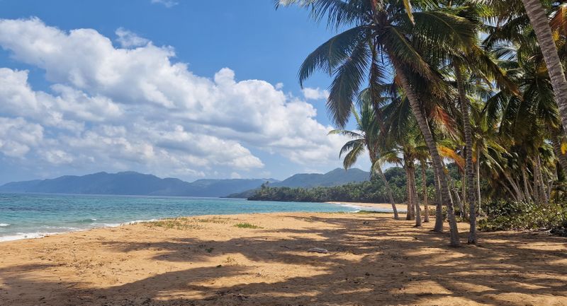 Insula de 1 milion, emisiune Kanal D