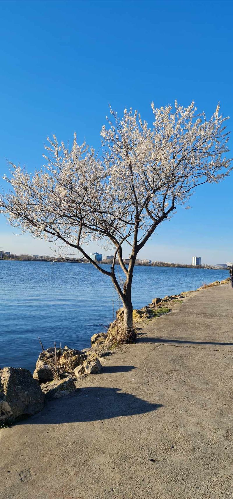 Vremea în București- ilustrație  vremea in bucuresti, prognoza meteo 18-24 martie, prognoza meteo bucuresti