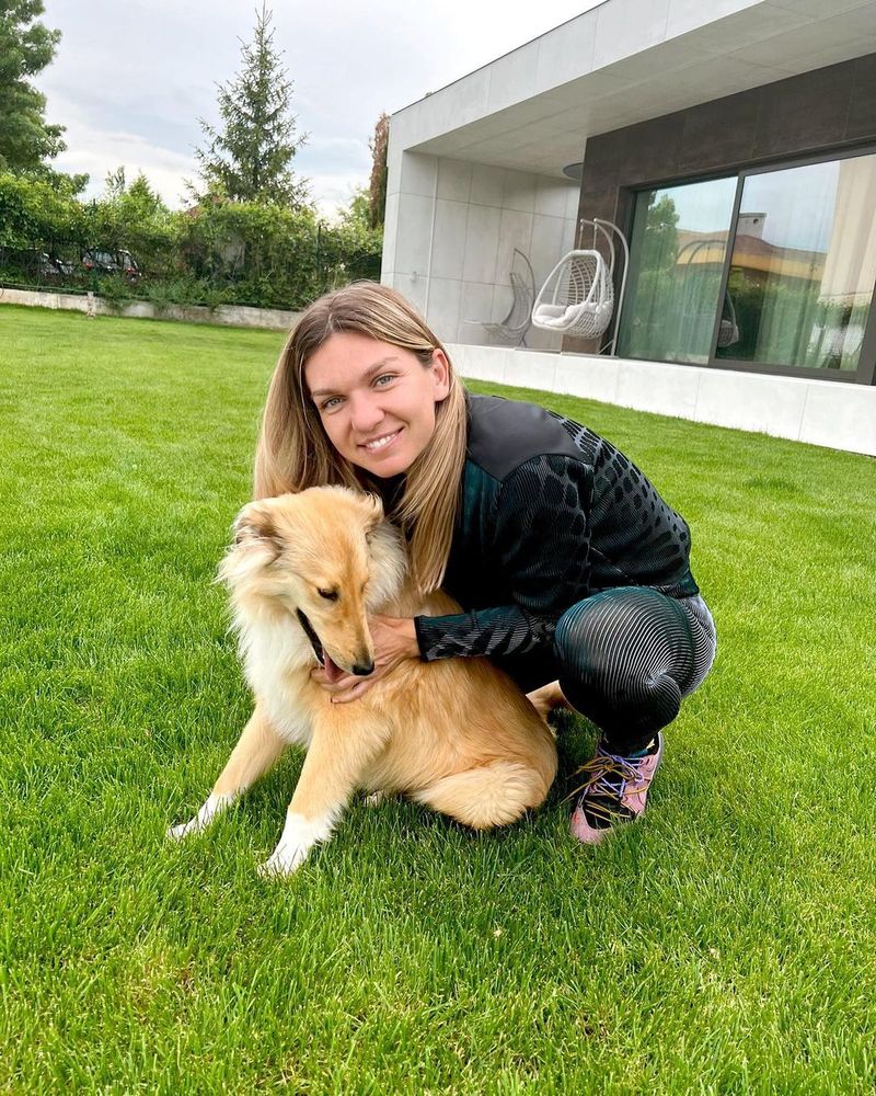Simona Halep clasament WTA