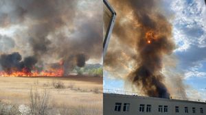 delta vacaresti incendiu