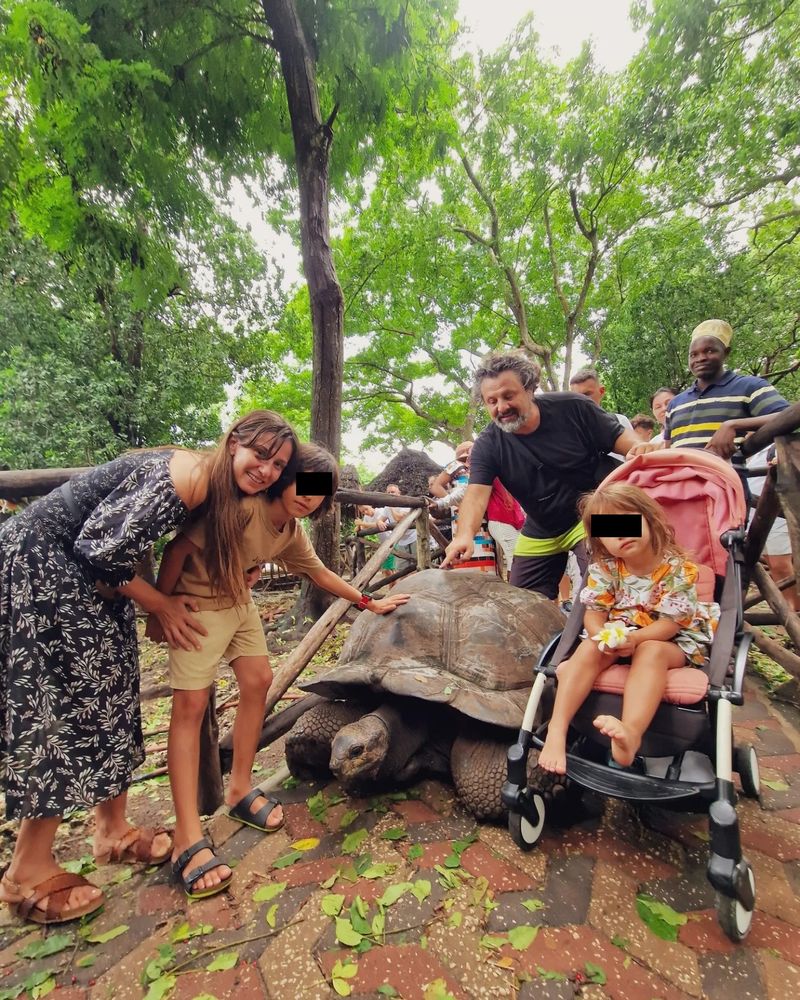 Dana Rogoz, Radu Dragomir și copiii lor