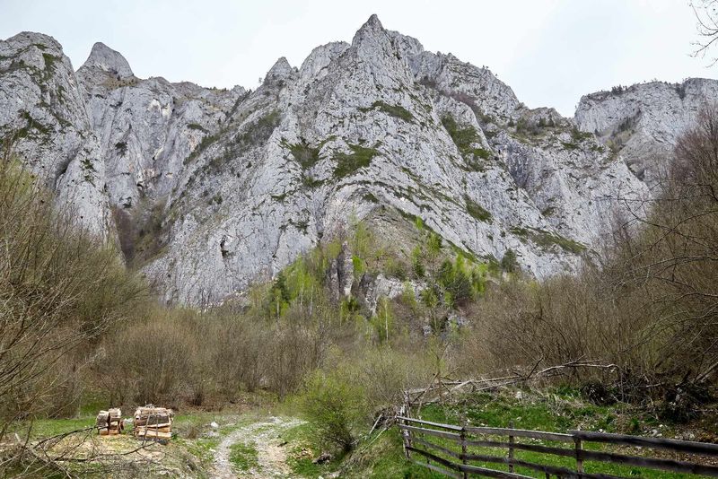 scărița Belioara, 20 de locuri superbe românia, locuri de vizitat în românia în 2024 
