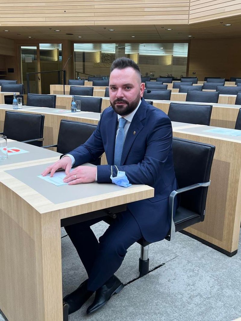 vlad popescu piedone, cine este vlad popescu piedone, ce avere are vlad popescu piedone 