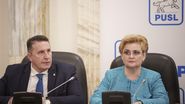 Vasile Negrilă și Grațiela Gavrilescu