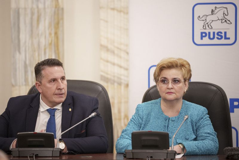 Vasile Negrilă și Grațiela Gavrilescu
