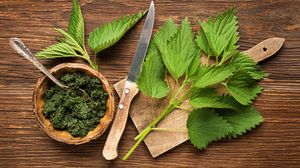 De ce e important să consumi urzici primăvara. Vezi ce beneficii aduce în organismul tău