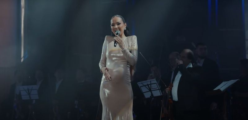 vladuta lupau insarcinata