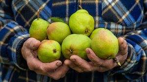 Poveste bătrână pere coapte