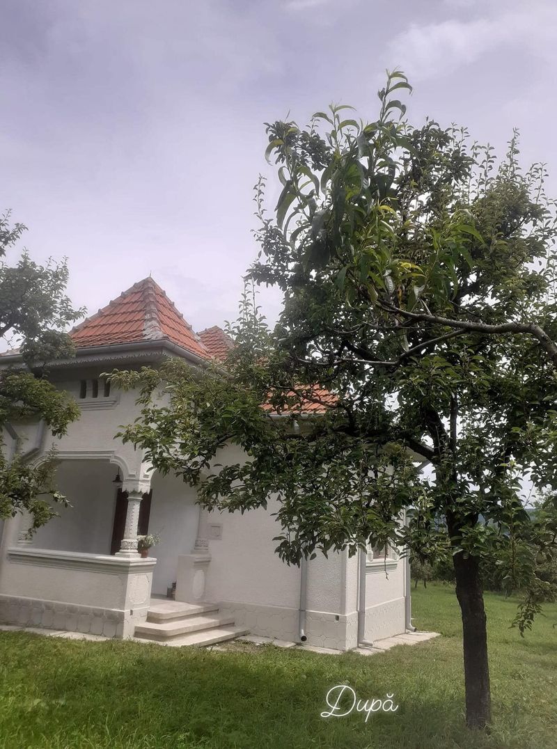 Casa bătrânească din Dâmbovița renovare