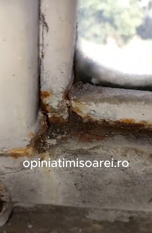 Cantina unui liceu din Timișoara
