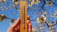 Termometru, pom înflorit în aprilie