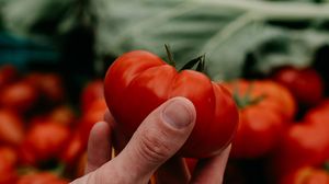 cat costa un kilogram de rosii