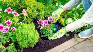 Tânără, plantează flori de primăvară