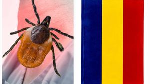 expresia „ce-i în gușă și-n căpușă”