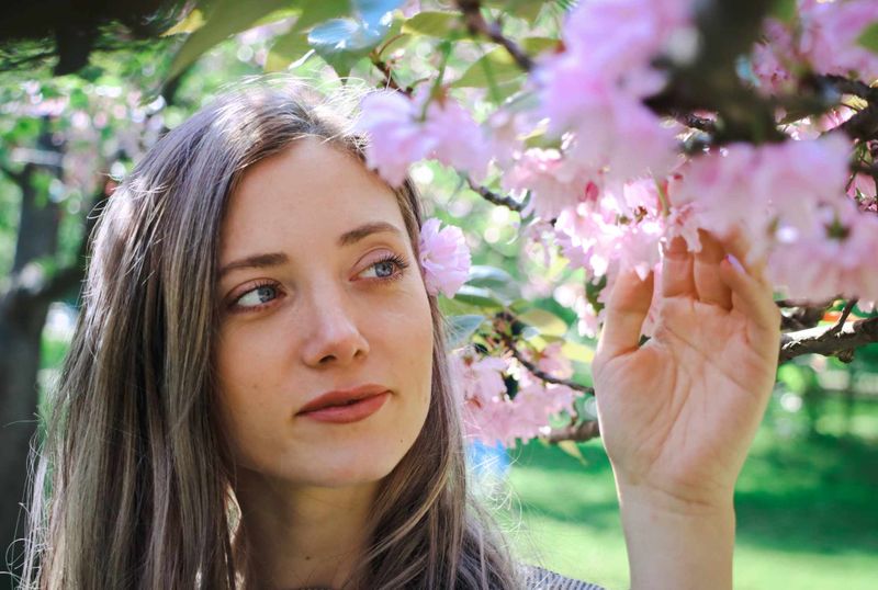 gradina japoneză din parcul herăstrău 