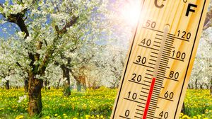 Termometru, pomi înfloriți în aprilie