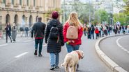 Oameni, se plimbă pe Calea Victoriei, cu un cățel