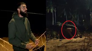 sorin insula de 1 milion