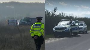 Cadavru Dâmbovița imagini