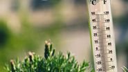 Prognoza meteo vara, temperaturi 30 de grade