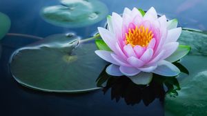 Băile Felix, destinația ideală de vacanță vara aceasta - iată câteva idei de cazare în Băile Felix