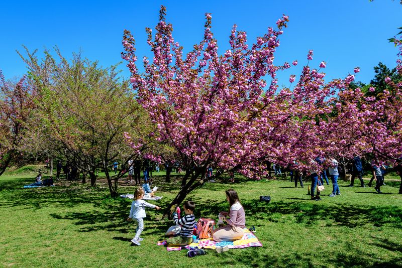Părinți și copii, în parc