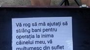 poveste emotionanta