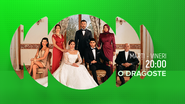 Actori, program, serial „O dragoste”