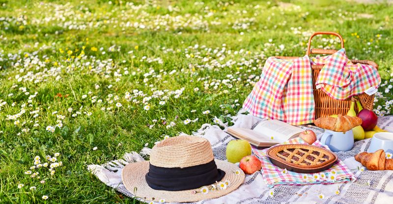 picnic