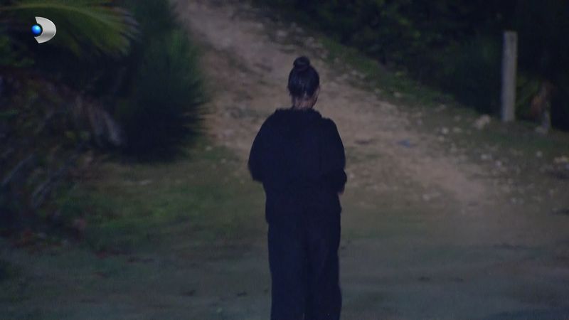 nicoleta insula de 1 milion