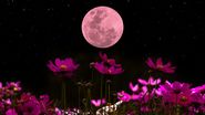 Lună Roz