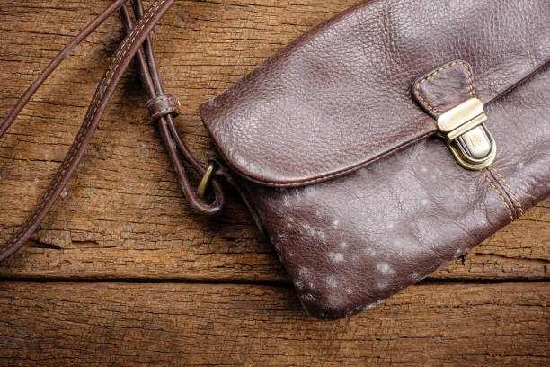 geantă din piele, curatarea gentilor de piele, cum se scoate mirosul de mucegai din piele 