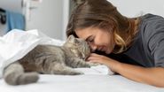 de ce se aseaza pisica la pieptul stăpanului, pisica, comportament pisica 