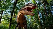 Dinozaur