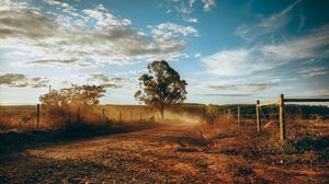 Foto ilustrativă  praf saharian