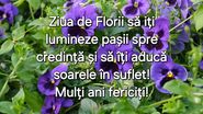 Felicitare de Florii