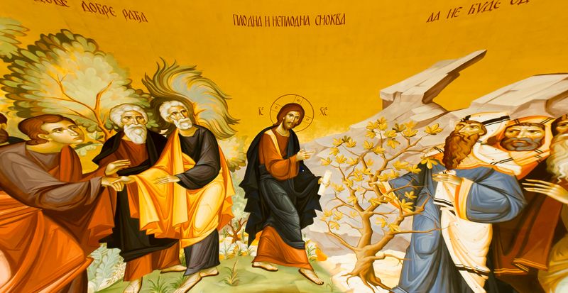 Ilustrație Iisus blesteamă smochinul neroditor icoana cu iisus hristos