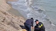 Cadavru Mamaia