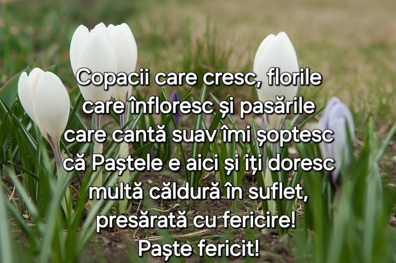 imagine cu mesaj de paste, urări de paste, mesaje de paste 2024 