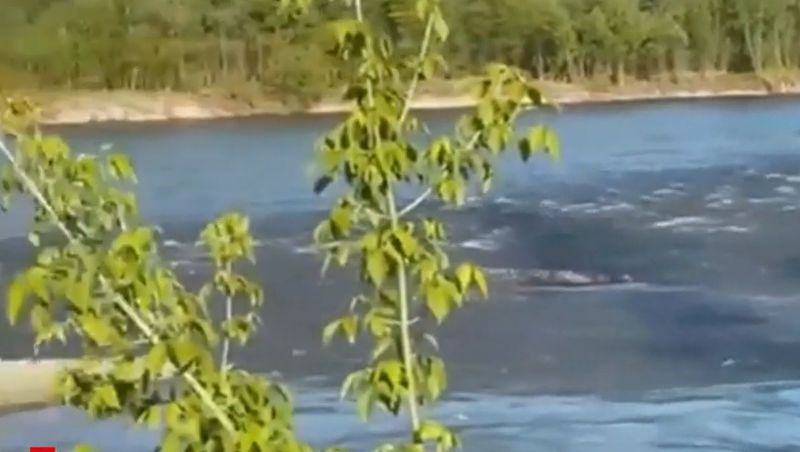 R&acirc;ul Tisa, cadavre, granița 