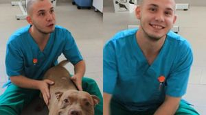 asistent veterinar găsit mort