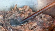 Carne prajită