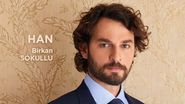 Birkan Sokullu, Vinovați de iubire