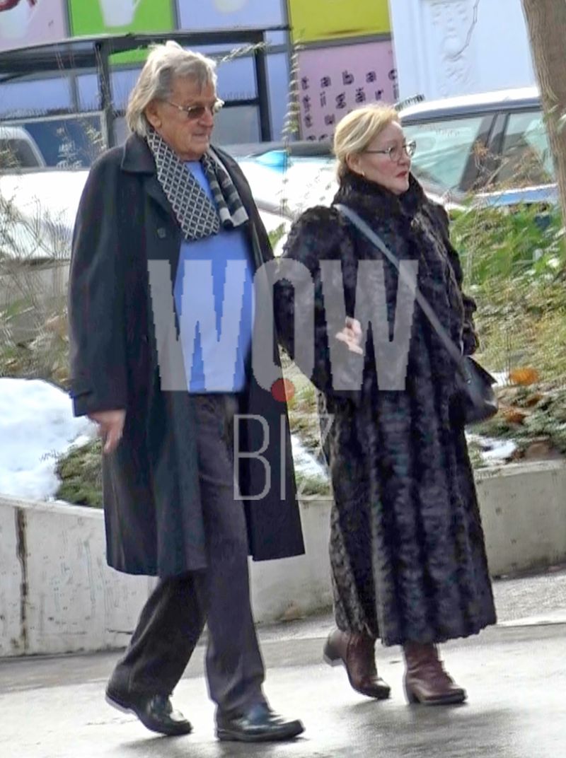 florin piersic sotie