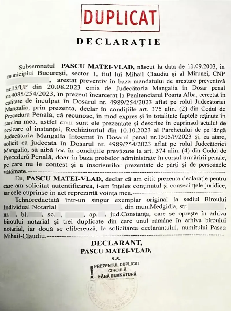 Declarație Vlad Pascu
