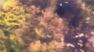 ebrahim raisi accident aviatic