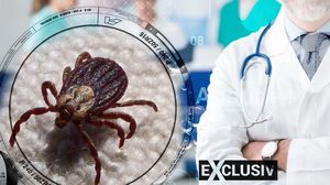 Tot ce trebuie să știi despre mușcătura de căpușă! Medicii explică ce trebuie să faci și care sunt primele semne că stare de sănătate se agravează | EXCLUSIV